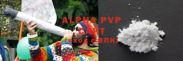 стафф Алексин