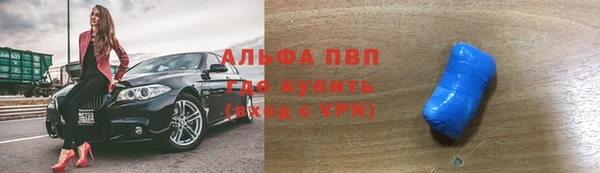 стафф Алексин