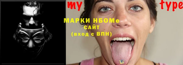 стафф Алзамай