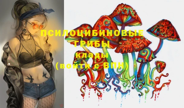 стафф Алексин