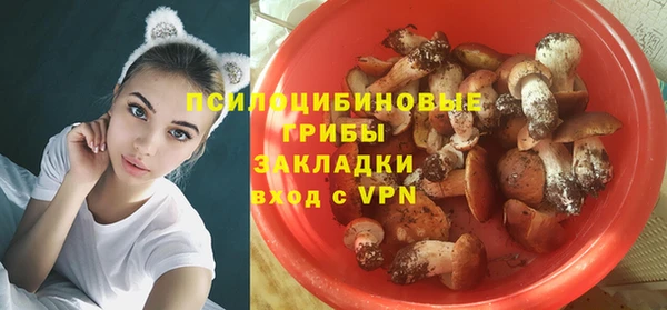 стафф Алзамай