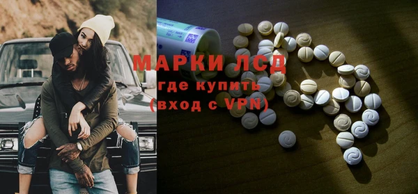 стафф Алзамай