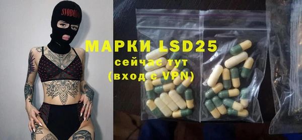 стафф Алзамай