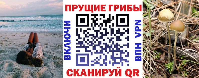 Галлюциногенные грибы GOLDEN TEACHER  кракен как войти  Чернушка 